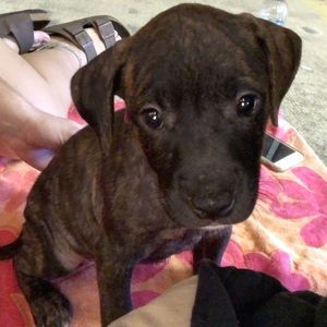 Meet your Posher, Kaleb